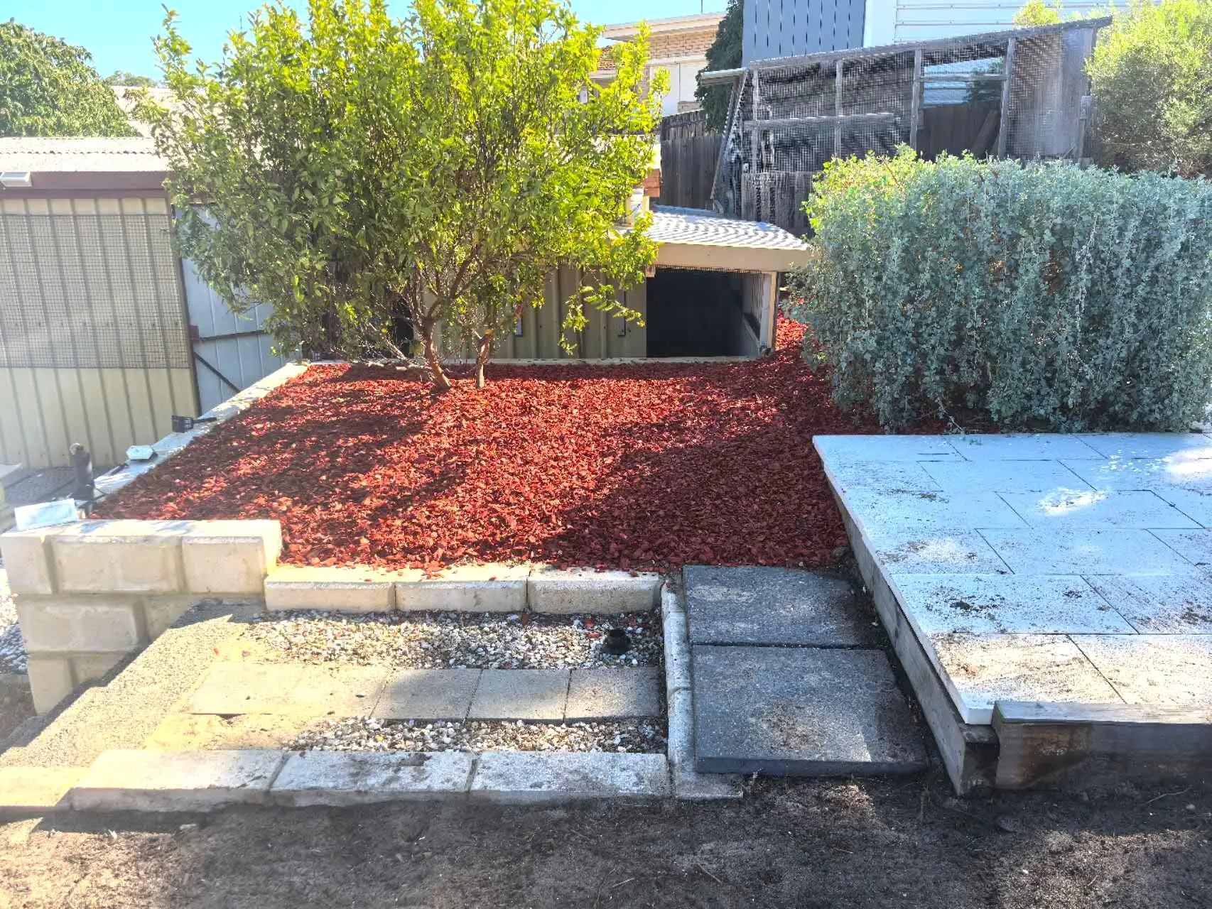 Raised red-mulch garden bed with a young feature tree, block retaining wall and a stone paver landing