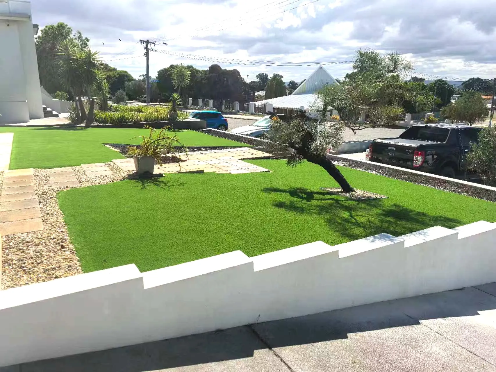 Front yard artificial lawn around a sculptural olive feature tree, with a white rendered retaining wall and paver paths