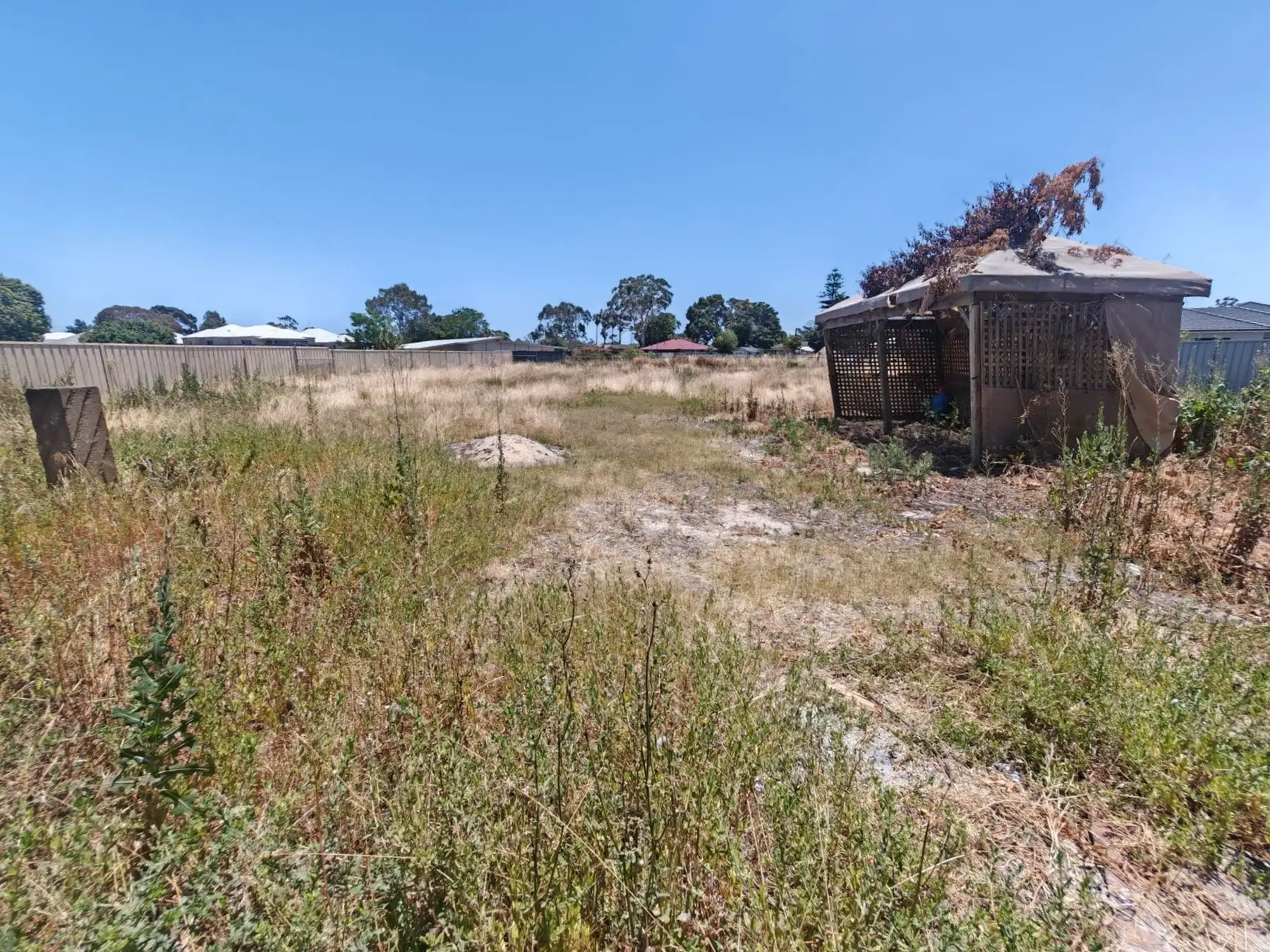 Overgrown weed-and-dirt vacant block with a derelict shed before turf installation